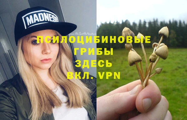 соль курить ск Алзамай
