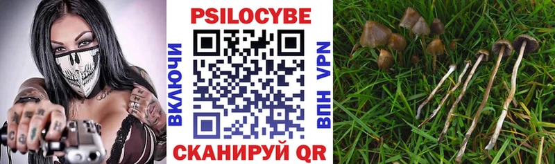 Галлюциногенные грибы прущие грибы  MEGA ссылка  Березники 