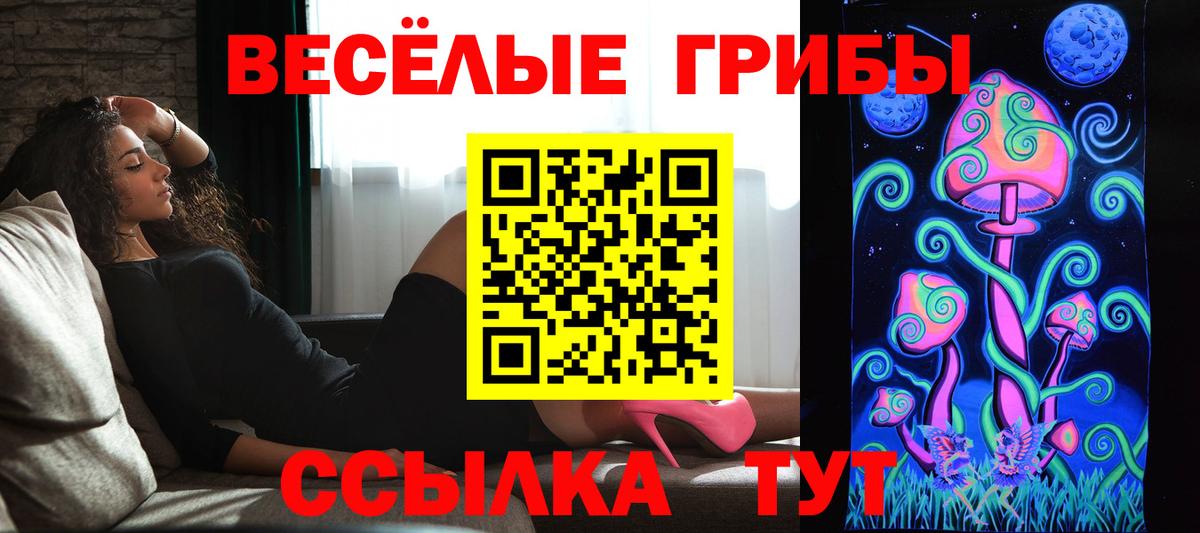 Псилоцибиновые грибы ЛСД Березники